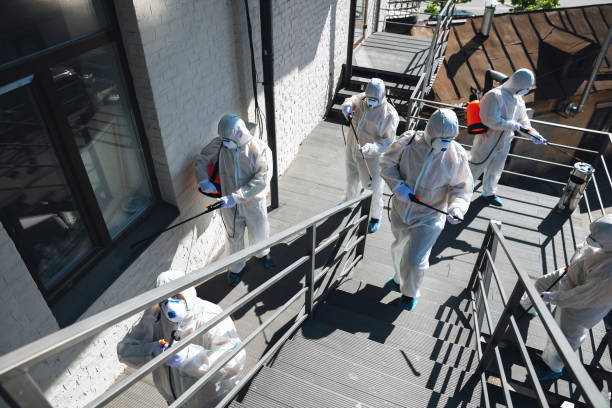Best Industrial Mold Remediation  in Dormont, PA