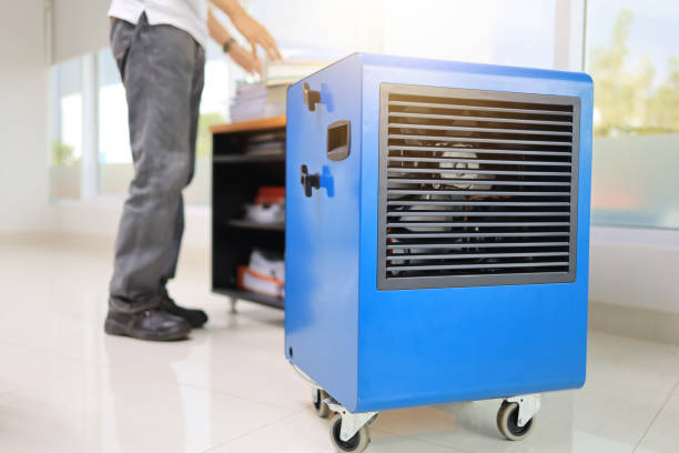 Best Mold Odor Removal Services  in Dormont, PA